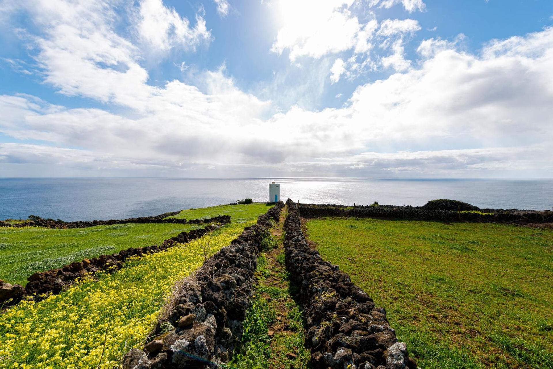 Engenho Hostel Lajes do Pico Eksteriør billede